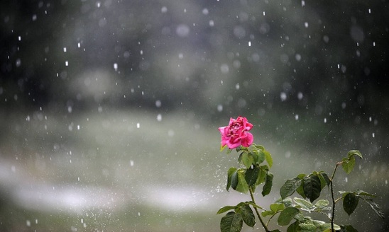 Υποχωρεί η θερμή η εισβολή από τη Κυριακή και έρχεται δροσιά.