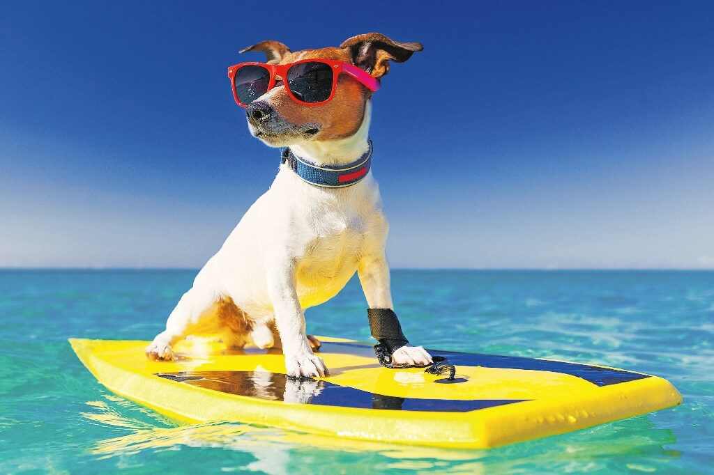 Με αρκετή ζέστη έως και του Αγίου Πνεύματος – Έρχονται μελτέμια