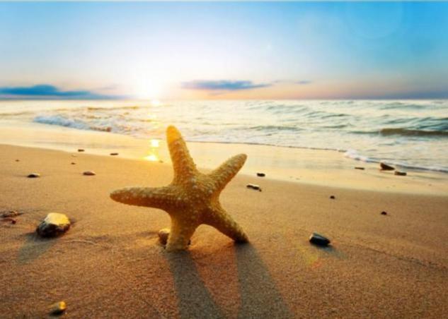 Σταδιακά επιστρέφει η δροσιά από την νέα εβδομάδα.