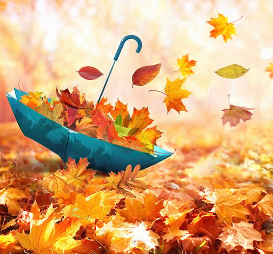 Μπαίνουμε σε φθινοπωρινά μονοπάτια για αρκετές ημέρες.